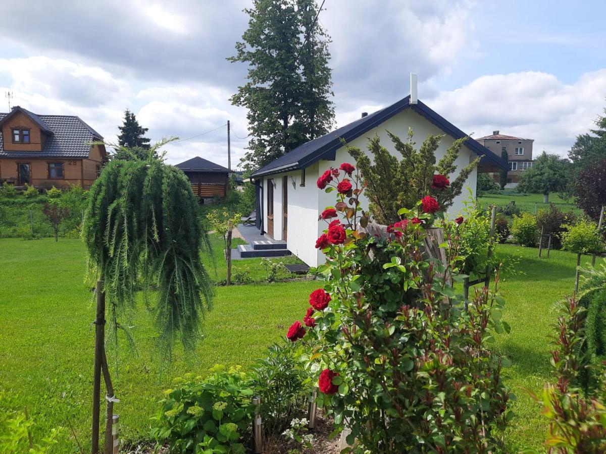 Apartament Wigry -Domek Z Altana Na Wylacznosc Leszczewek Exterior foto