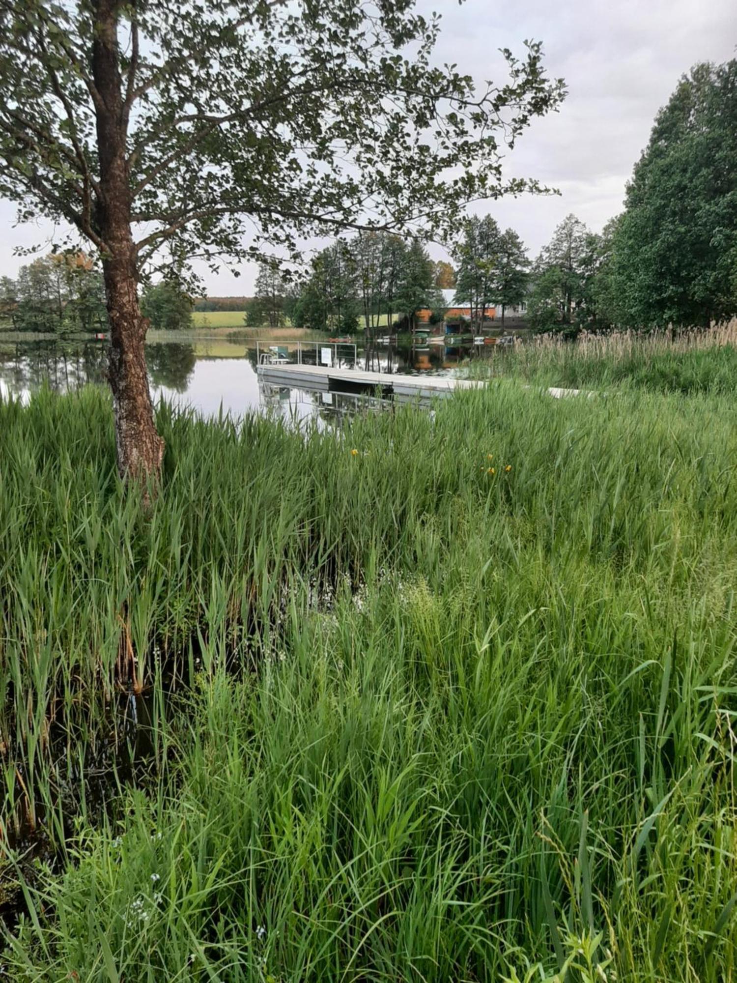 Apartament Wigry -Domek Z Altana Na Wylacznosc Leszczewek Exterior foto