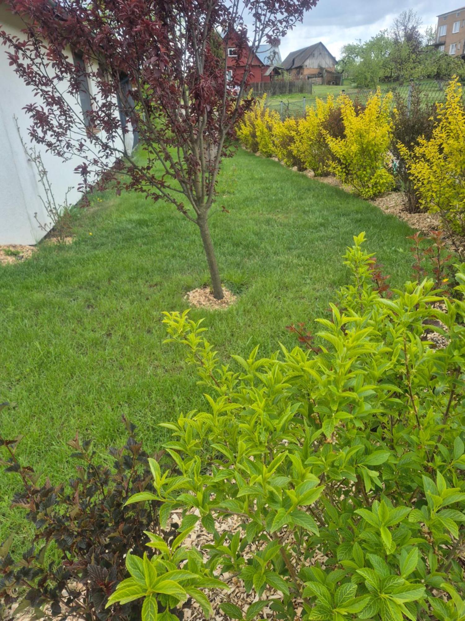 Apartament Wigry -Domek Z Altana Na Wylacznosc Leszczewek Exterior foto